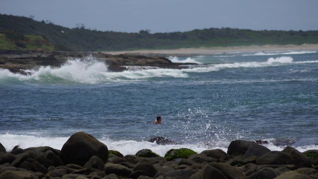 Surfer