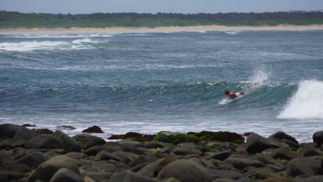 Surfer