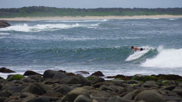 Surfer