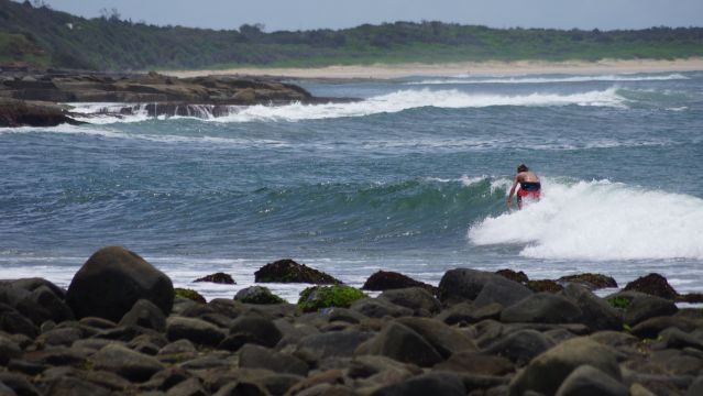 Surfer