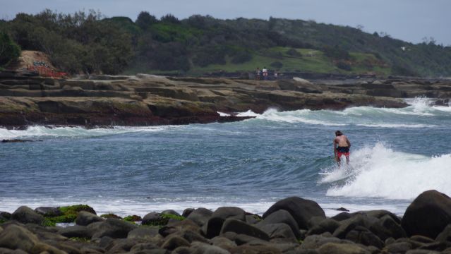 Surfer