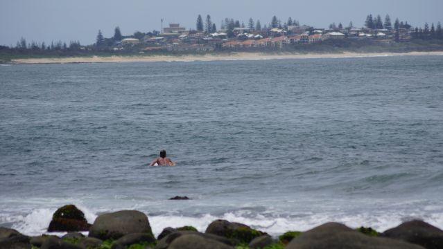 Surfer