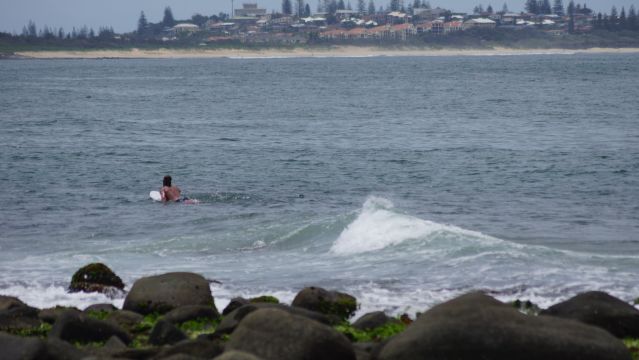 Surfer