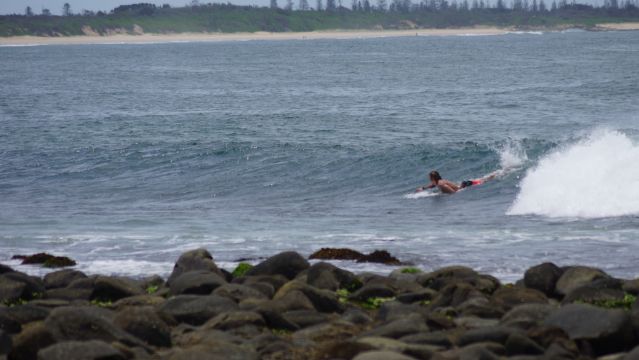 Surfer