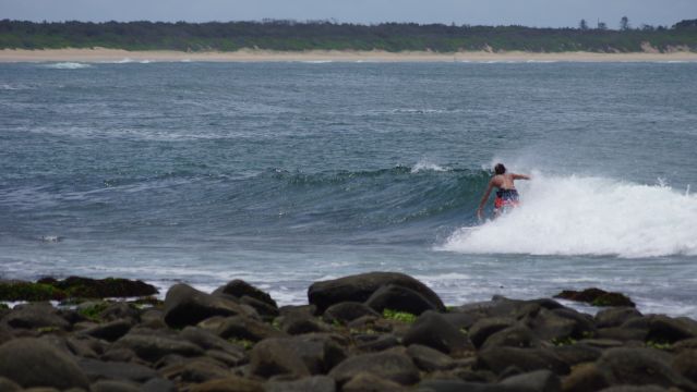 Surfer