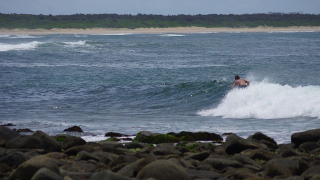 Surfer