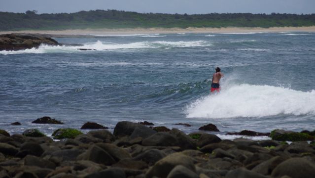 Surfer