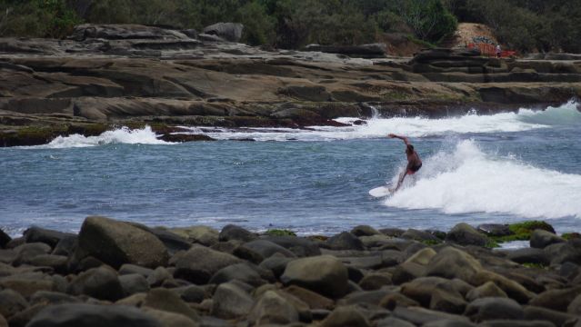 Surfer