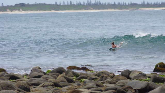 Surfer