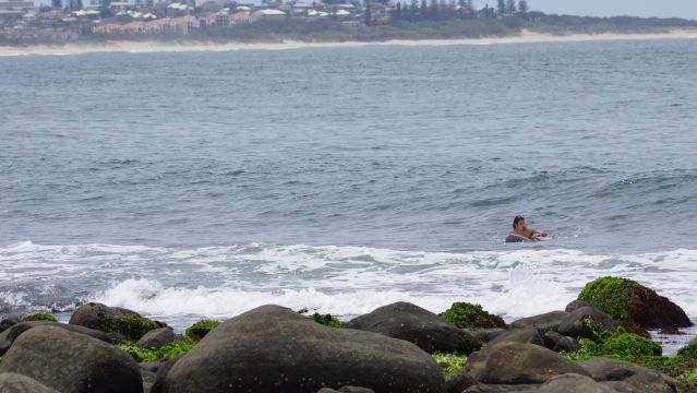 Surfer