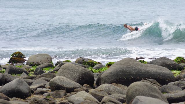 Surfer