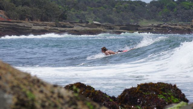 Surfer