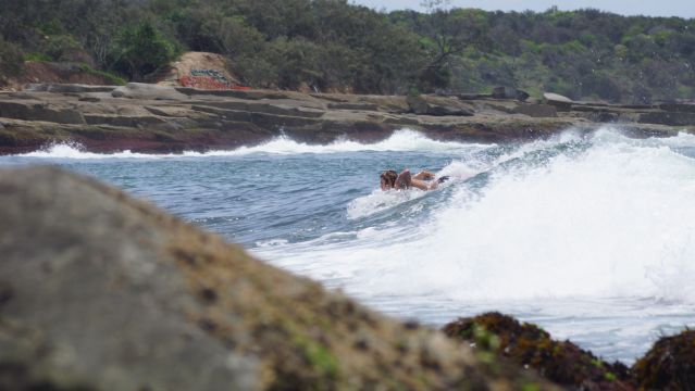 Surfer