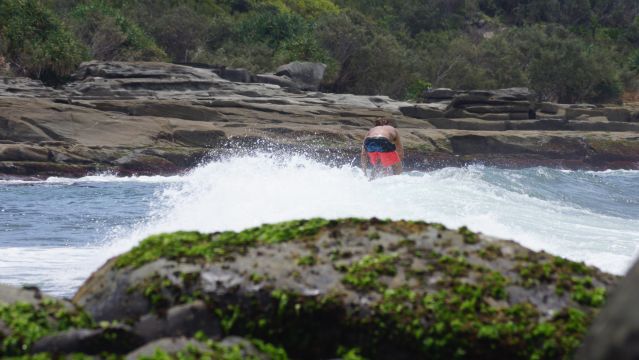 Surfer