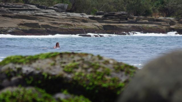 Surfer