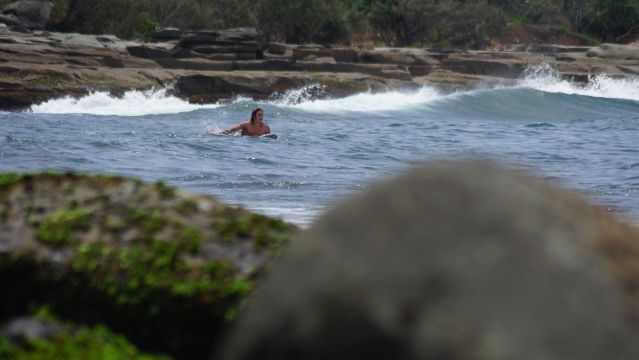 Surfer