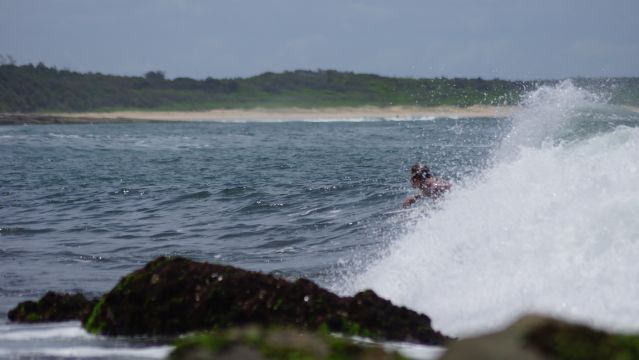 Surfer