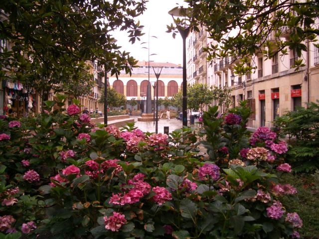 Pamplona San Sebastian